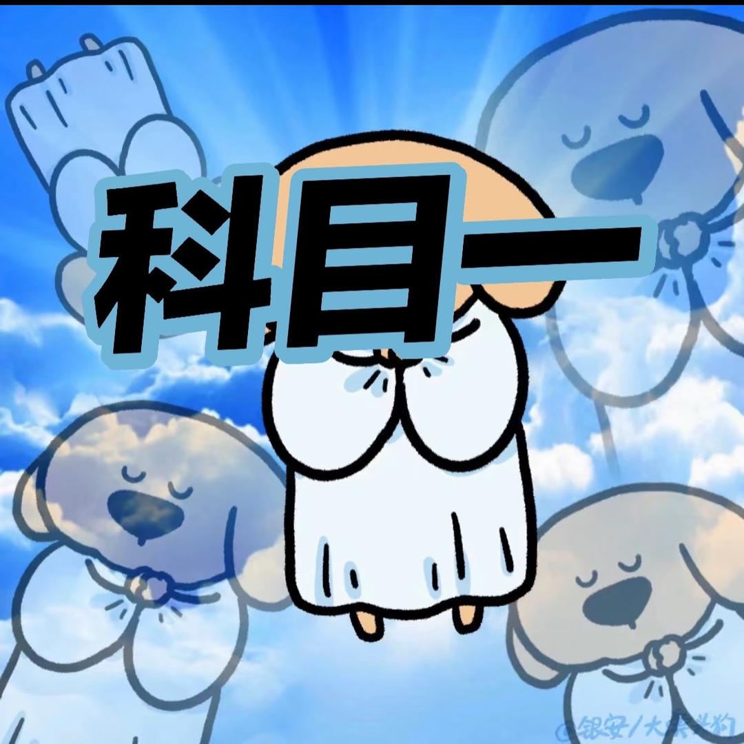 文文驾考