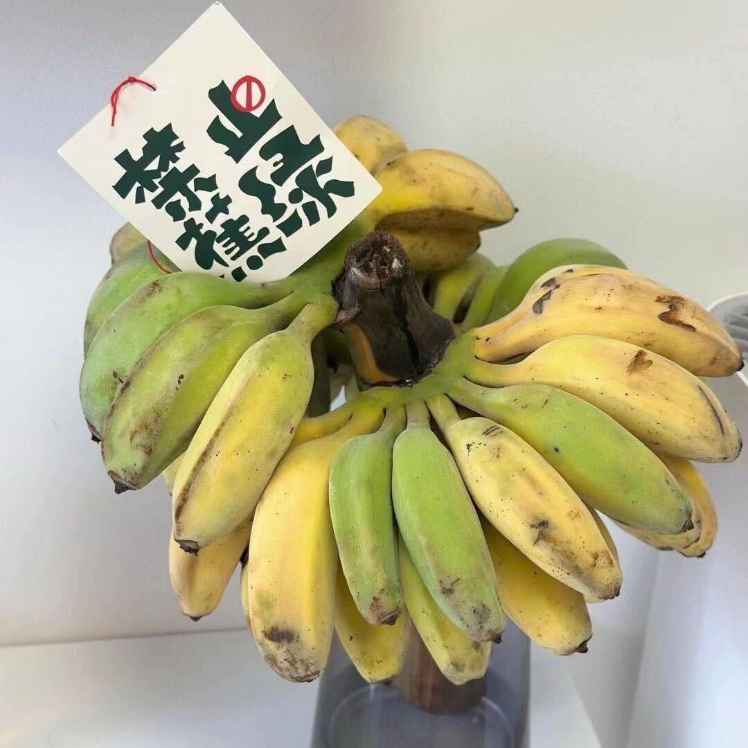 小米
