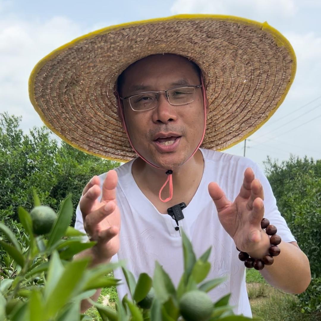 亚太德瑟堂(老钱)