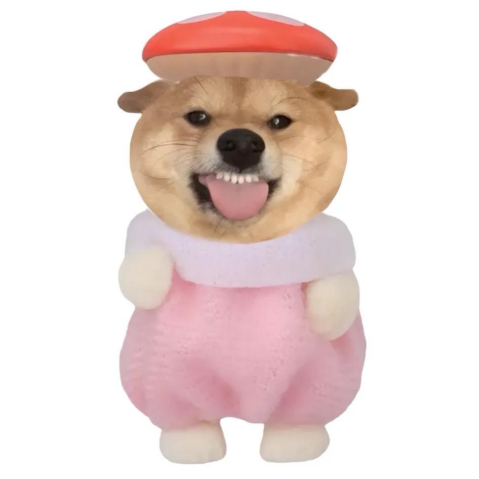 小饿小困