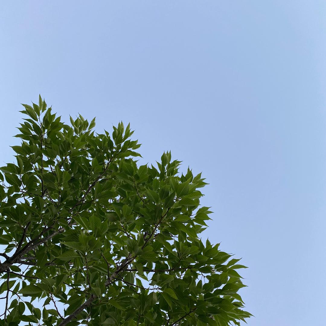 搏一搏