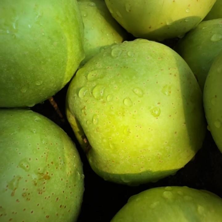 沂蒙山沂亩三分地果园