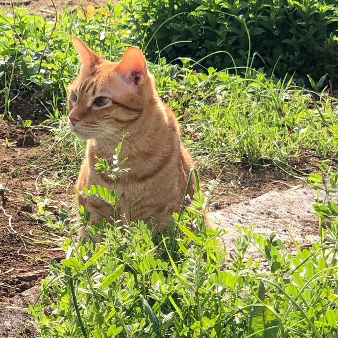 KY