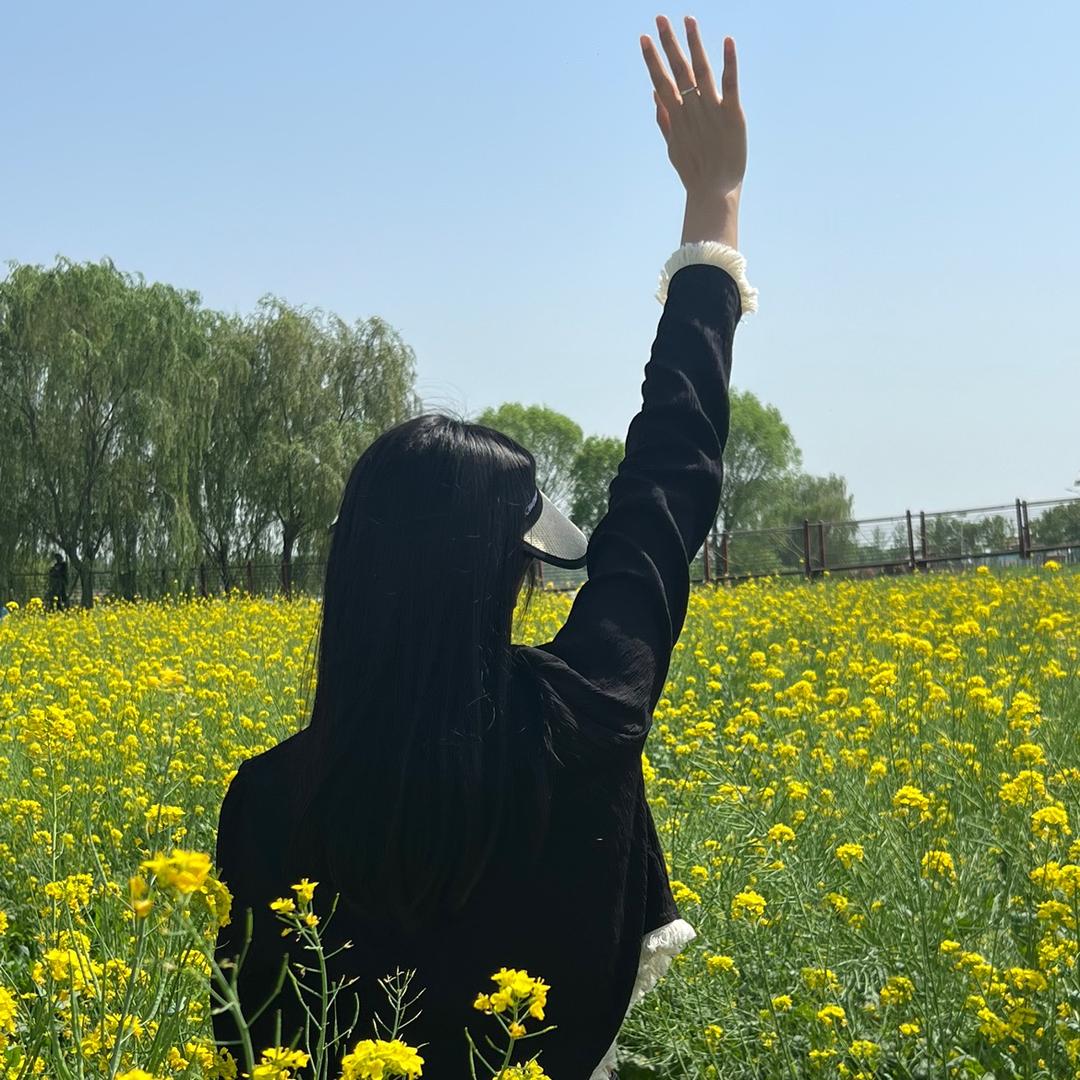子龙.