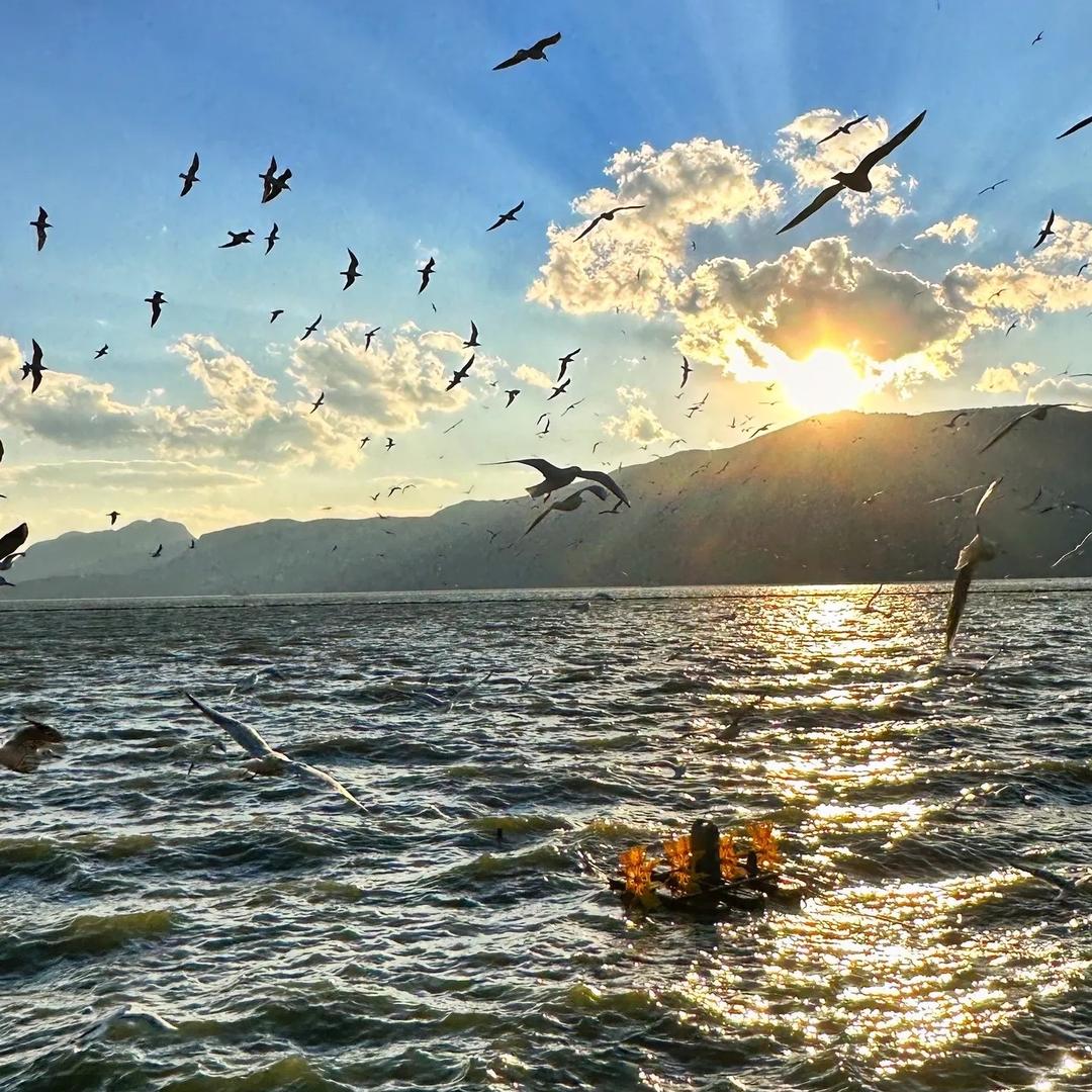 洛阳市伊滨区句紫文艺馆（个人独资）