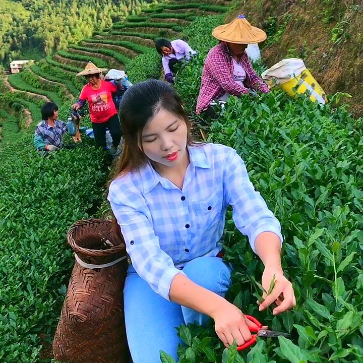 安溪县大坪乡张江英生活记落霞谷