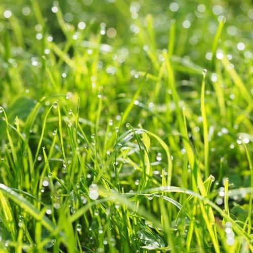 ？海陆空🦋¹  ⁷