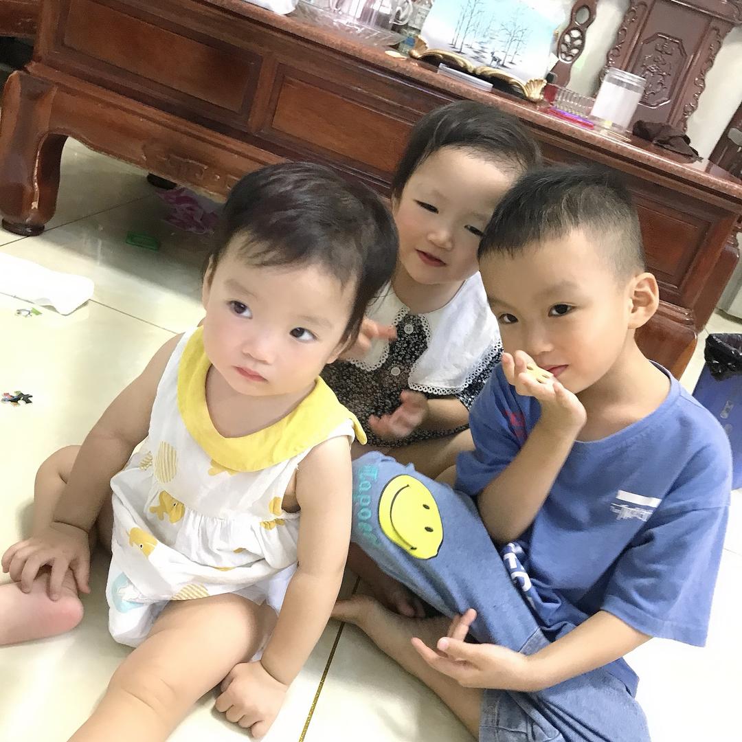 三只小萌宝