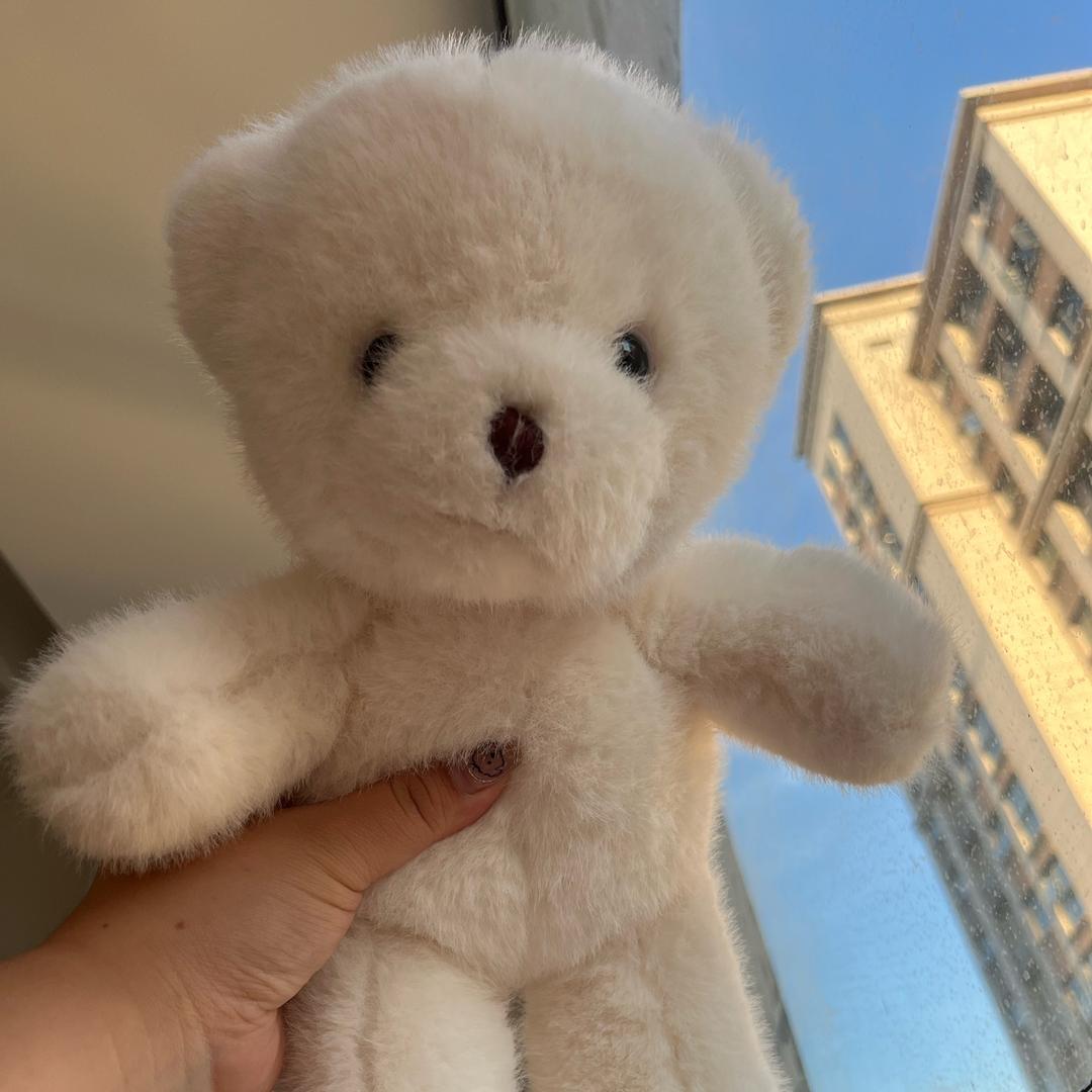 茶茶毛绒退坑🧸