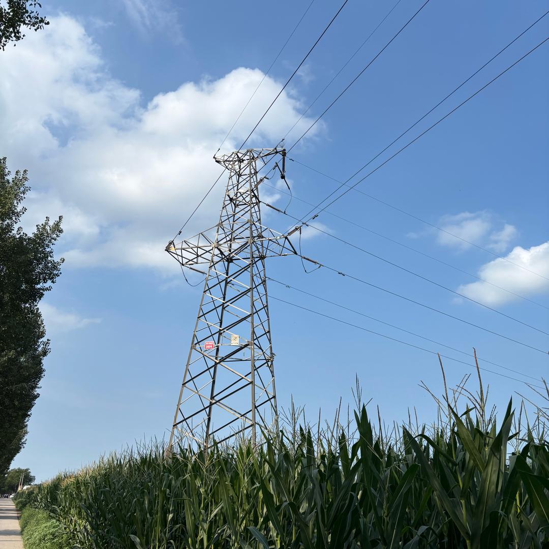景县避雷塔铁塔厂家