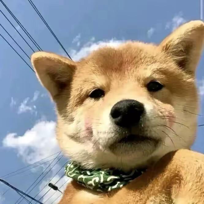 iiiiiiii