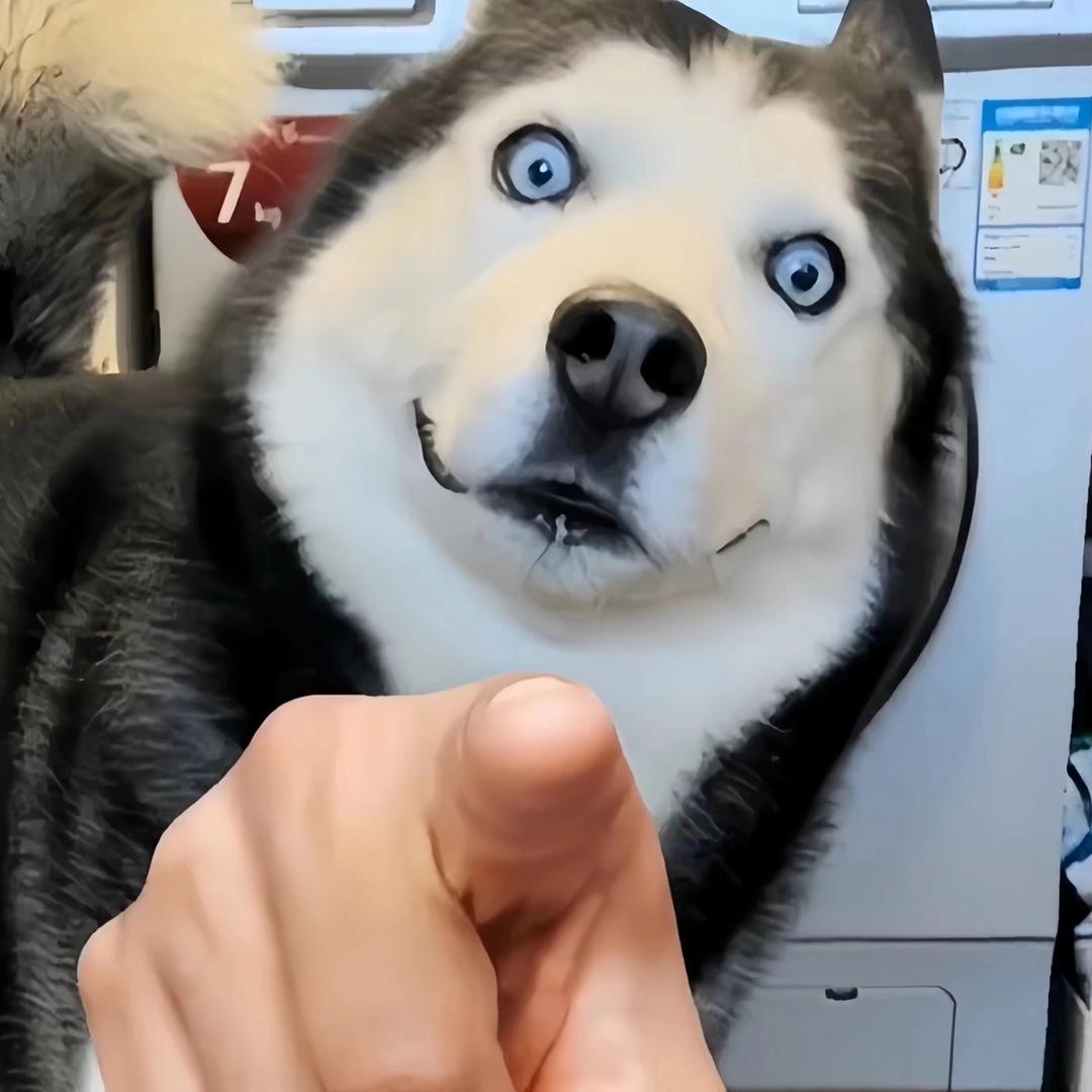 认真你就输了