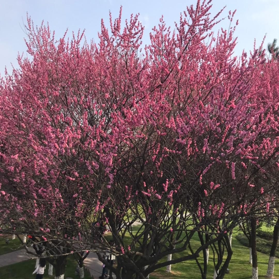 小橙子🍊小橙子🍊