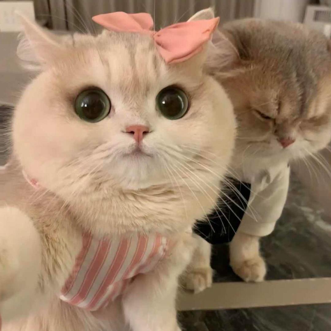 爱让一切复活⚡️