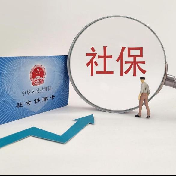 山东社保规划刘老师