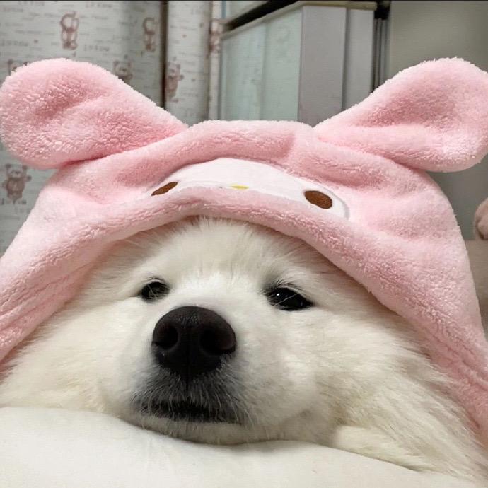 雨后