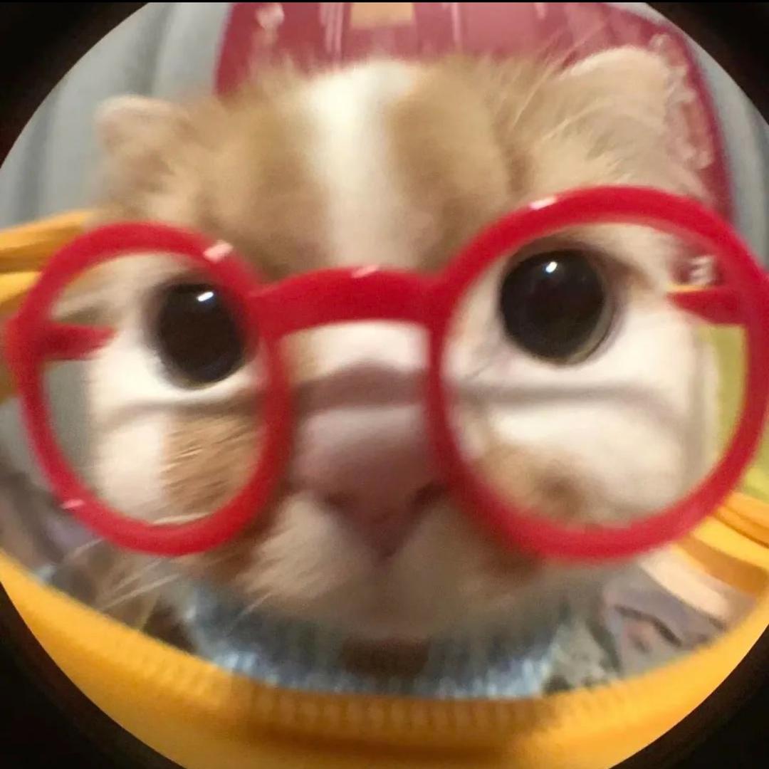 气愤的糯米糍🍯