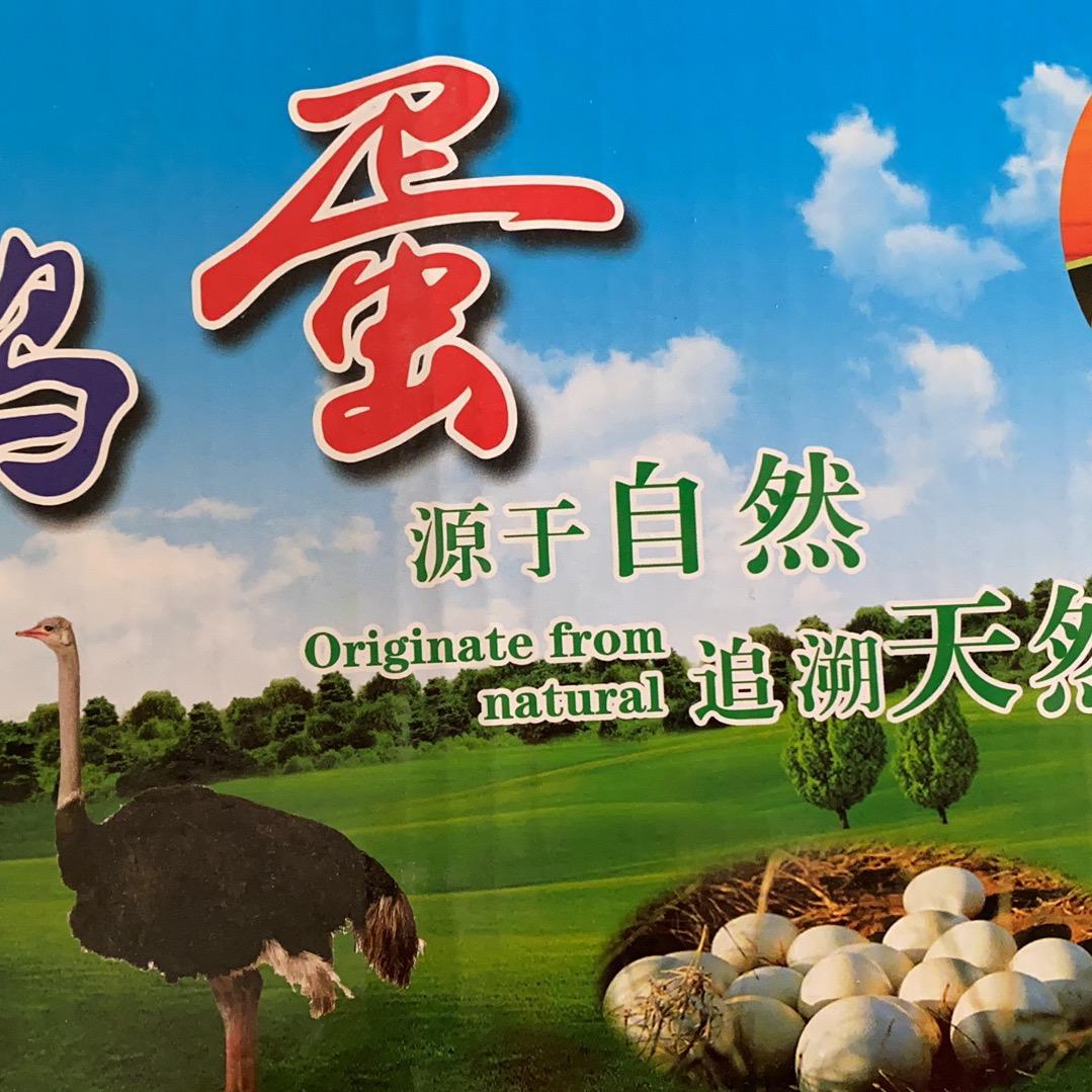 乐派精灵宠物店