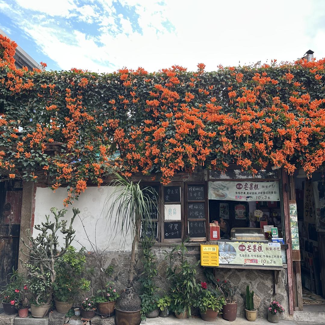 湖景甄选品质水果