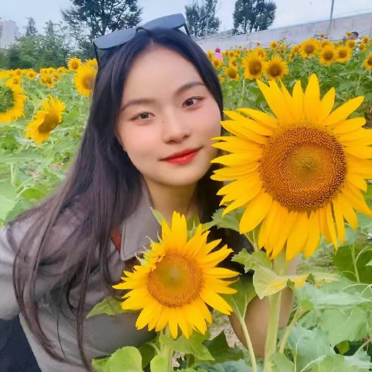 Sunflower🌻