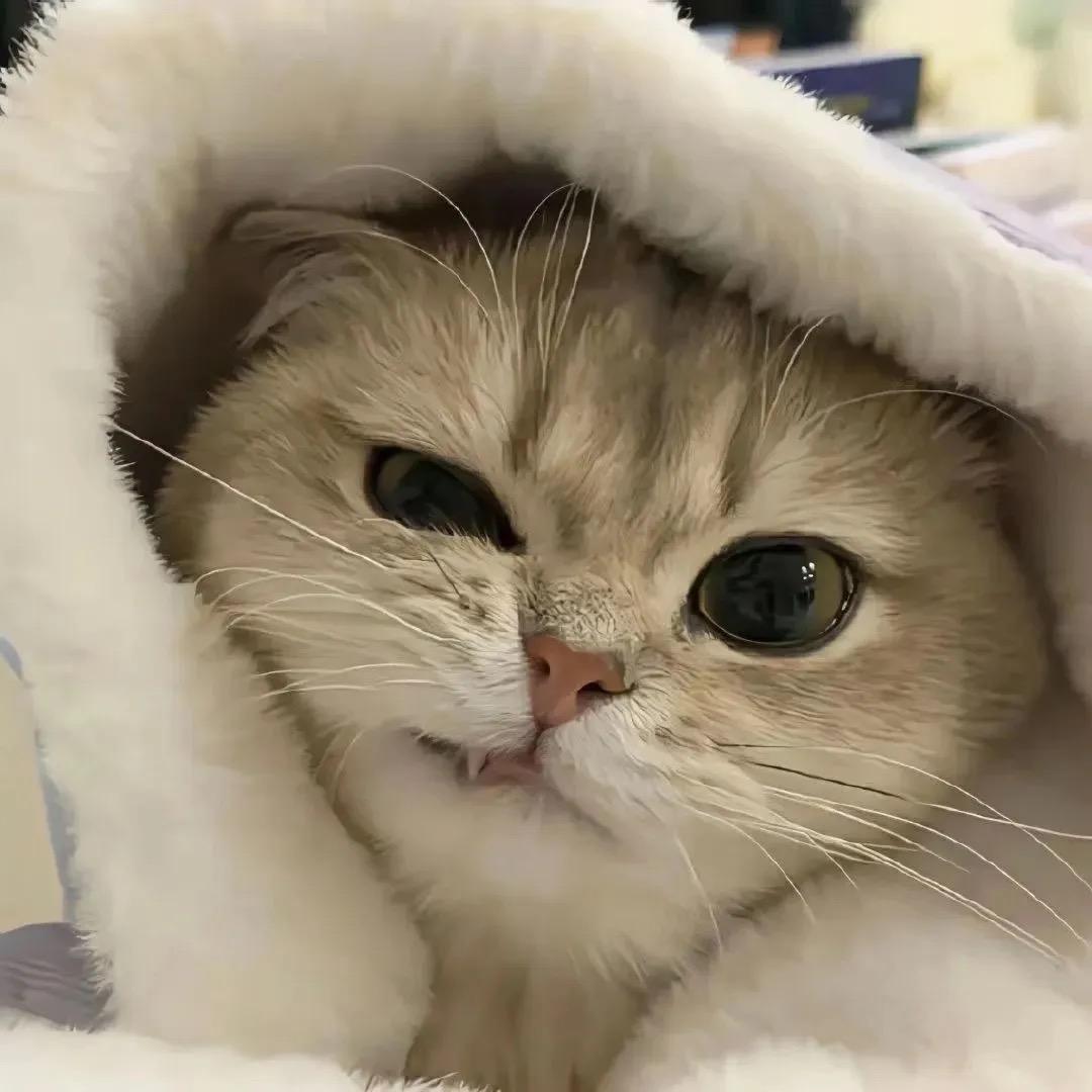 最初