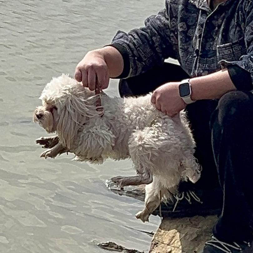 诺诺窜窜和铲屎的爹妈