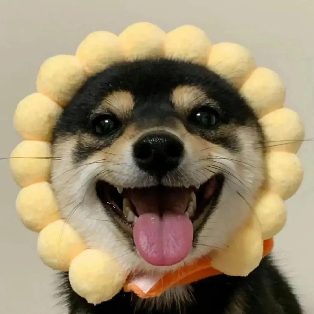 蟹老板本解
