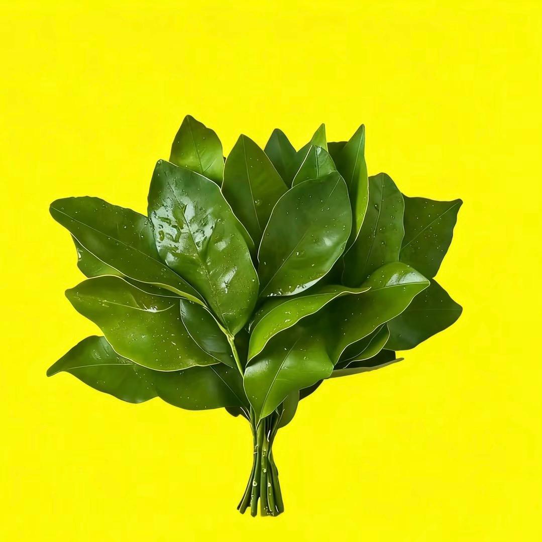 发财喵୭ ²⁰²⁵