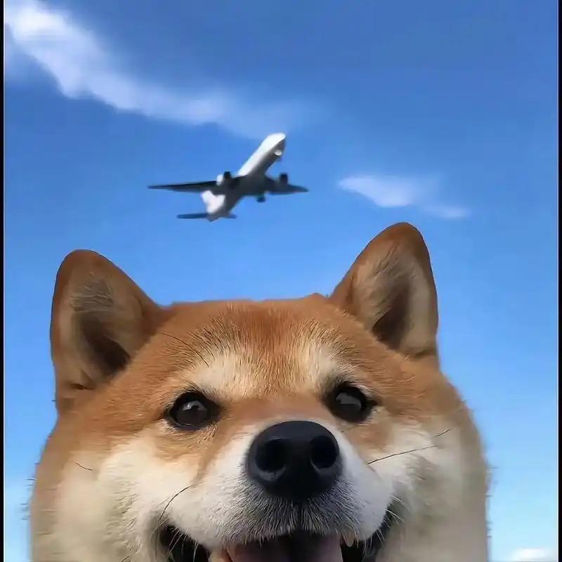 每日