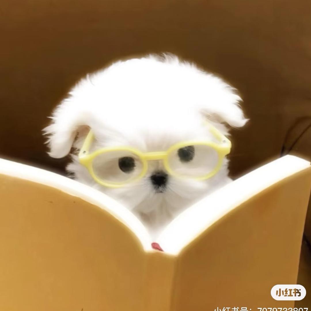 微微辣.