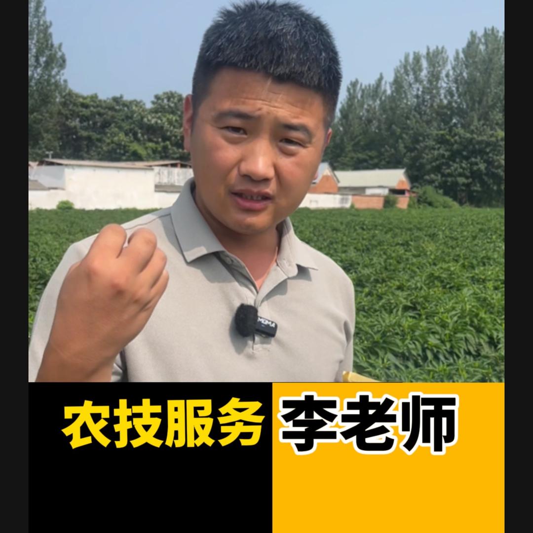 小张说辣椒