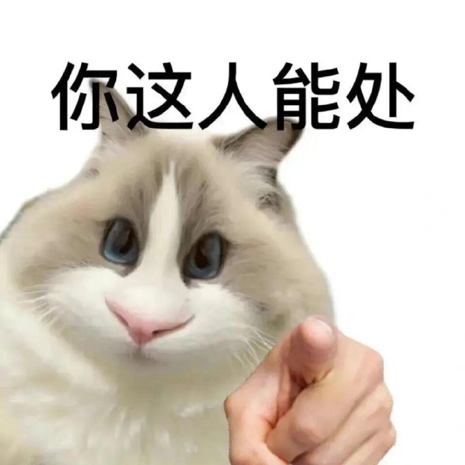 不要蛋白屁