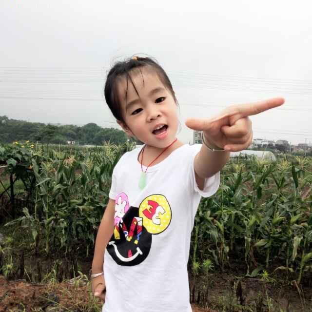 艳阳高照