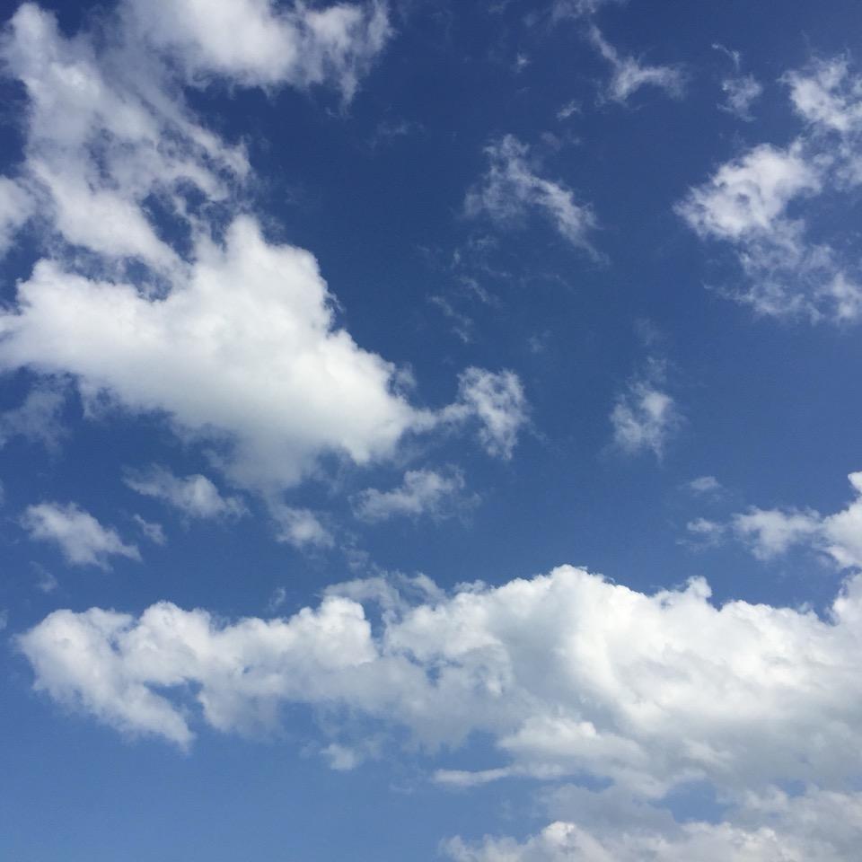 清晨阳光