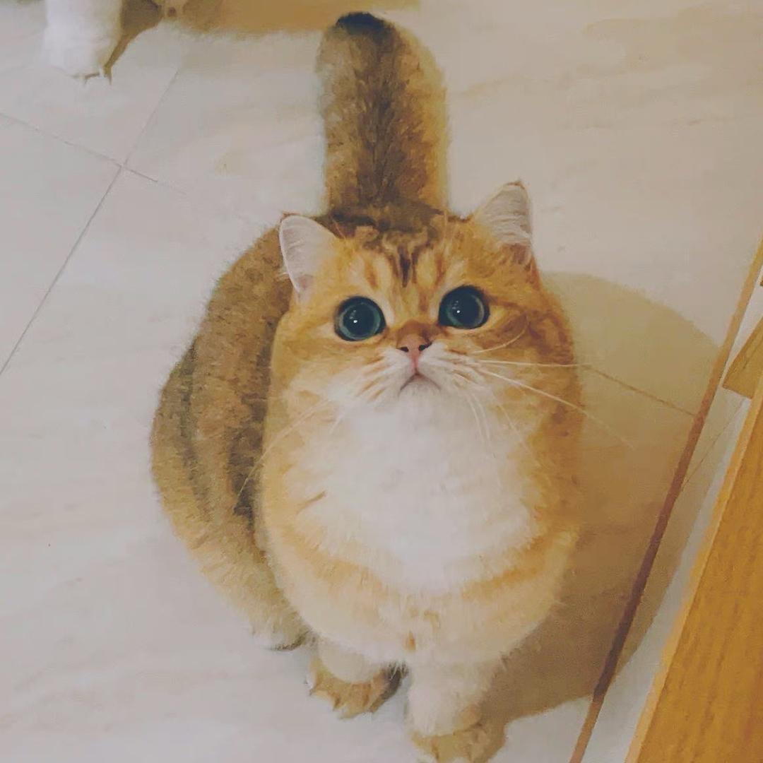 关你咩事(˵¯͒〰¯͒˵)