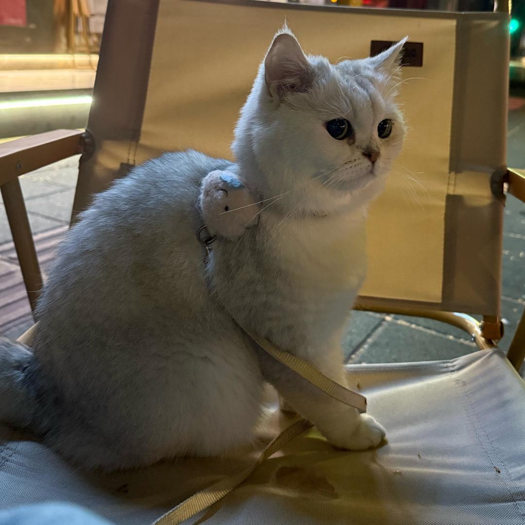 千与玉寻