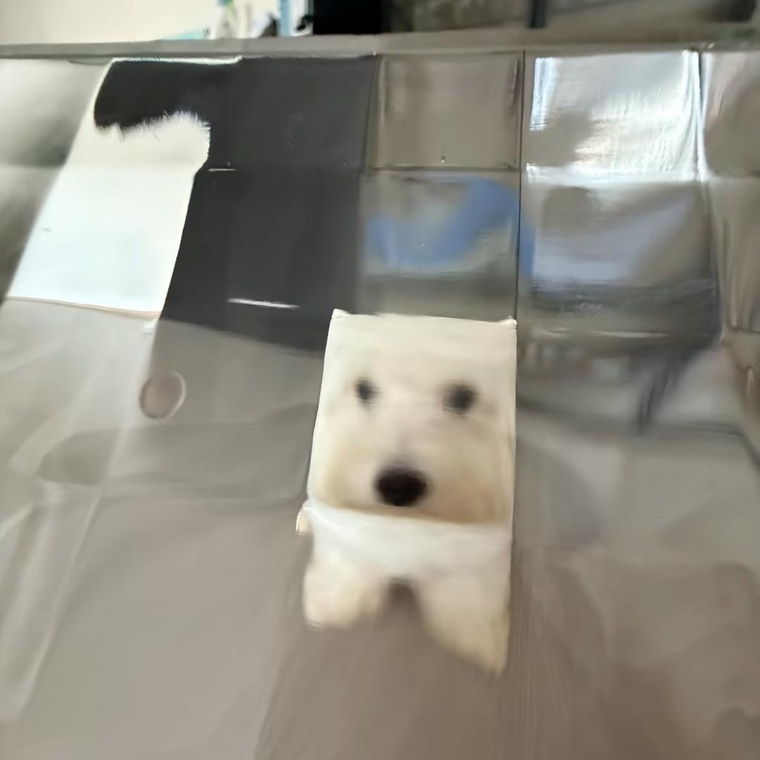 想吃薯条
