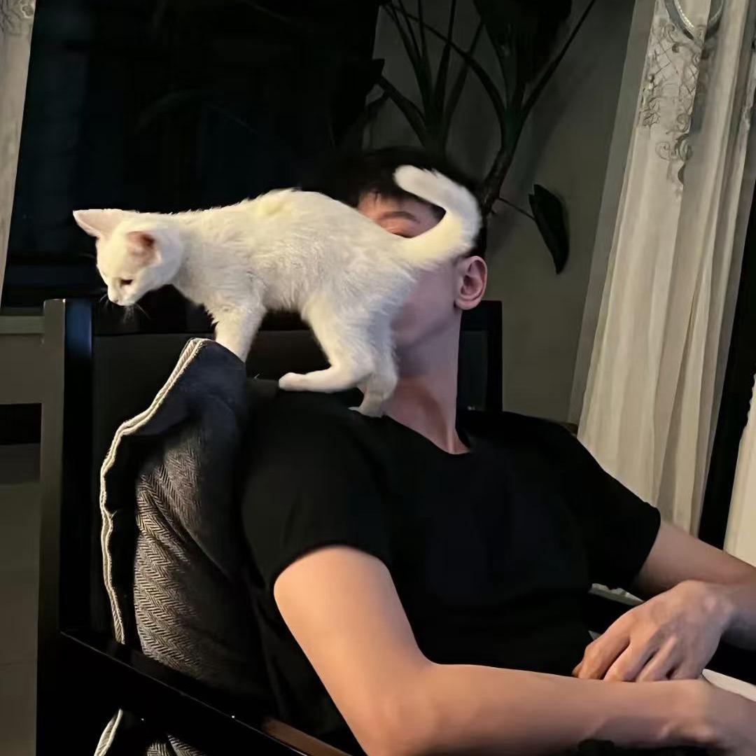 。。。。。。。。。