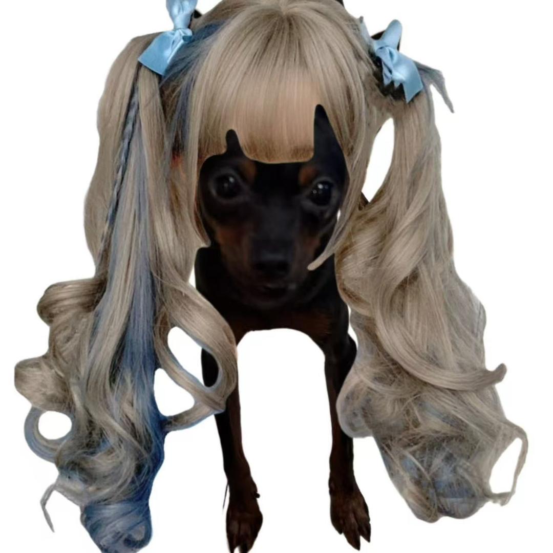 大大小小是小狗