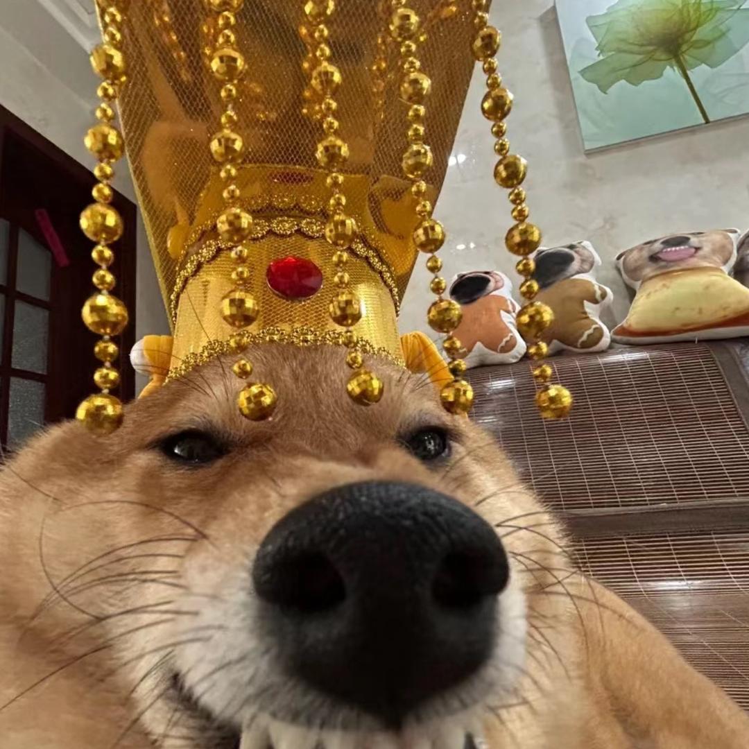 美女专属