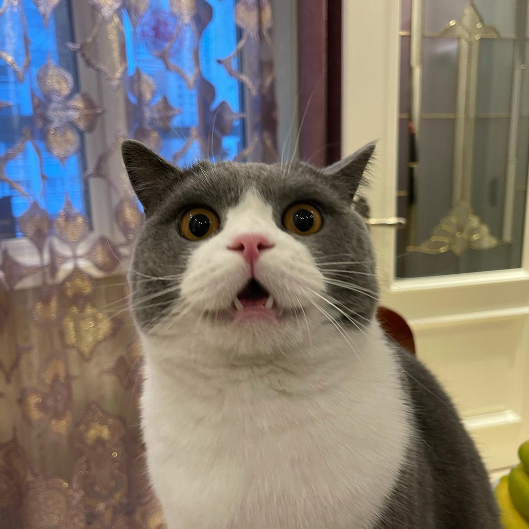 巴巴半半