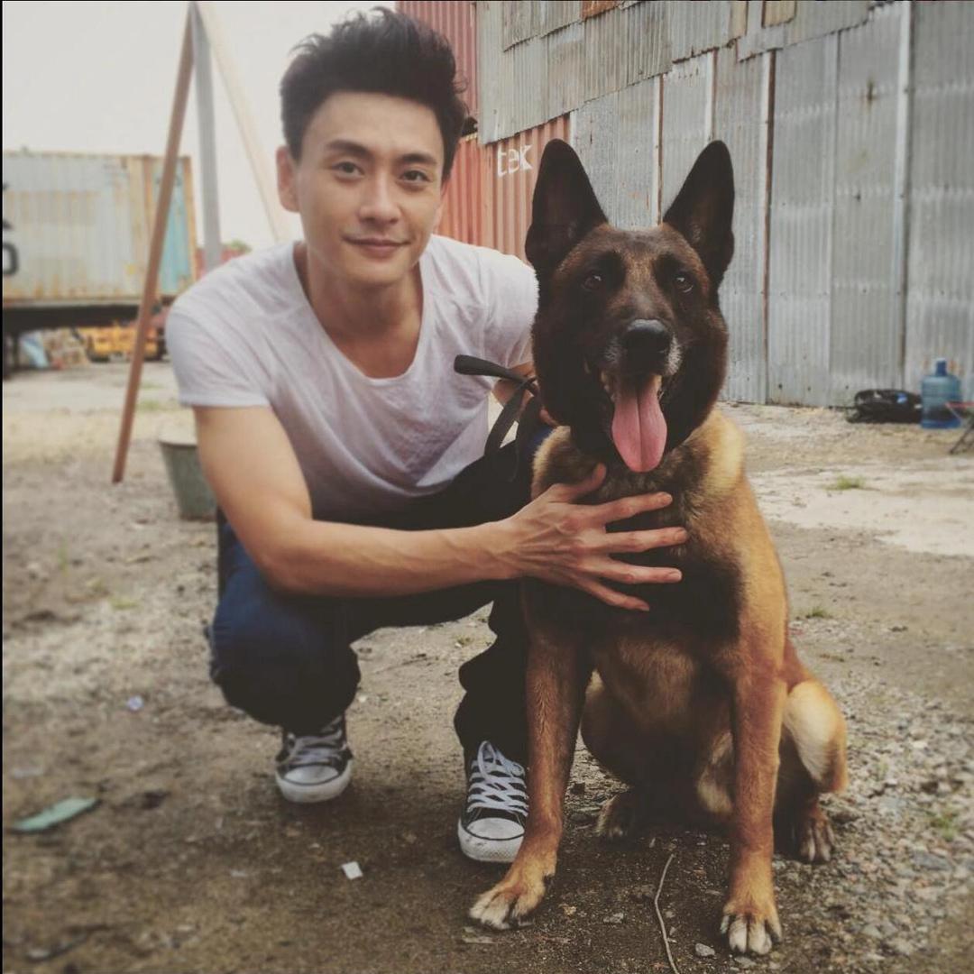 fei、