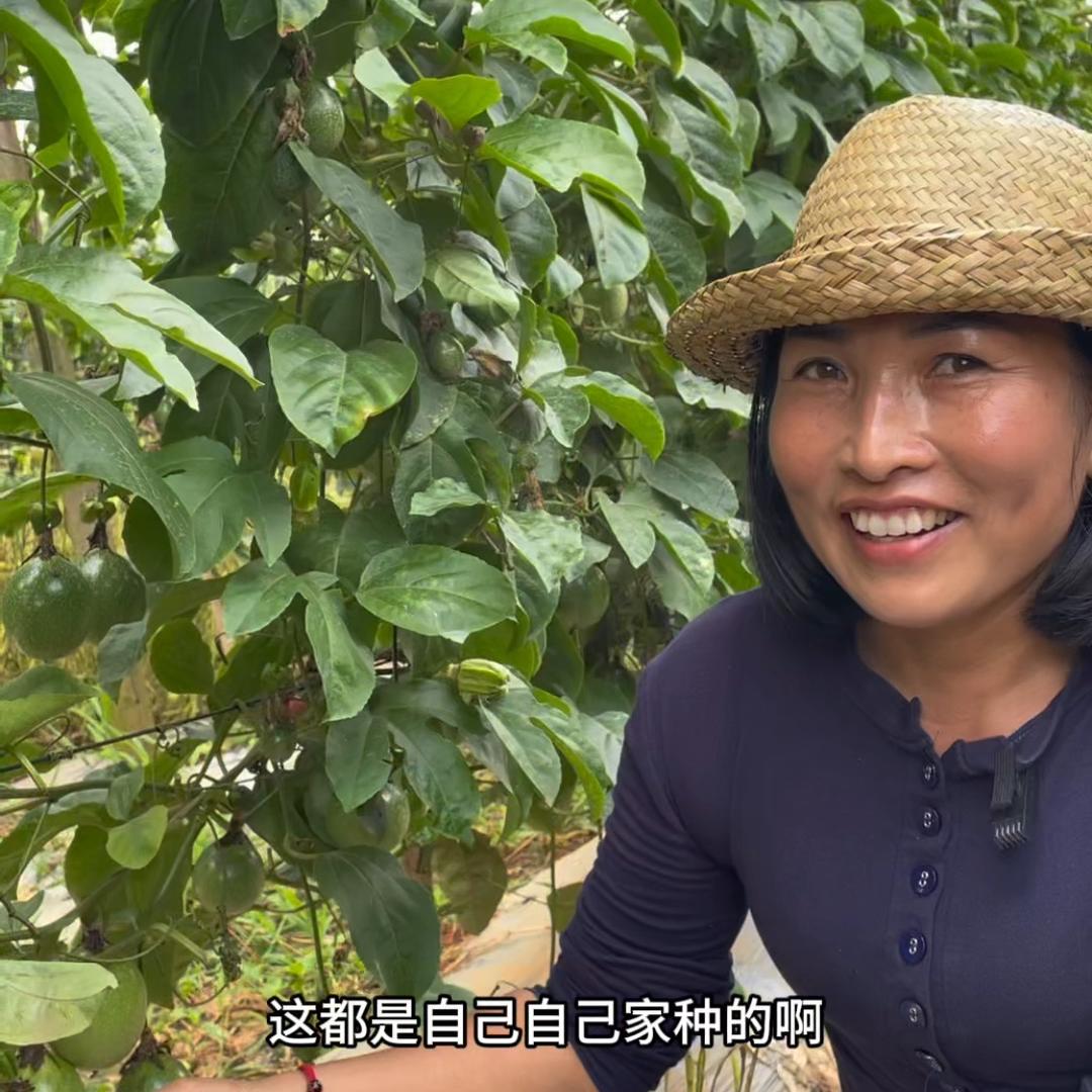 滇云水果放送