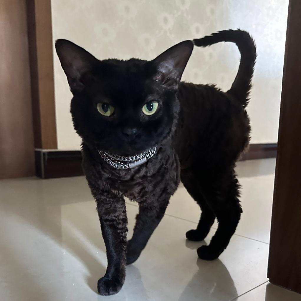 高不成