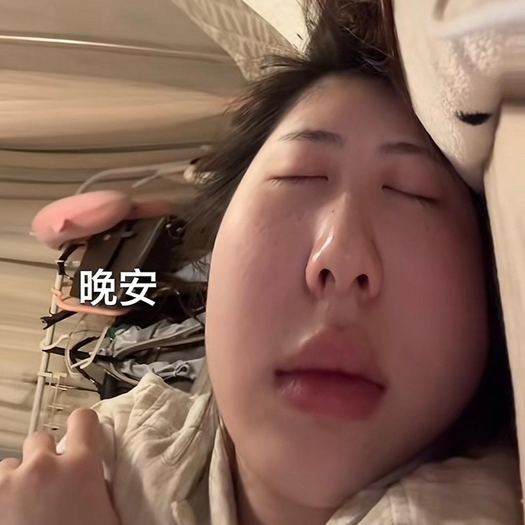 顽皮燕子