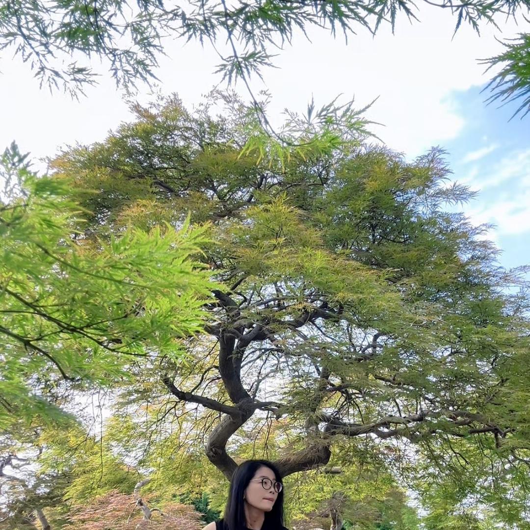 绿源庭院植物企业店·美子的自然风杂木