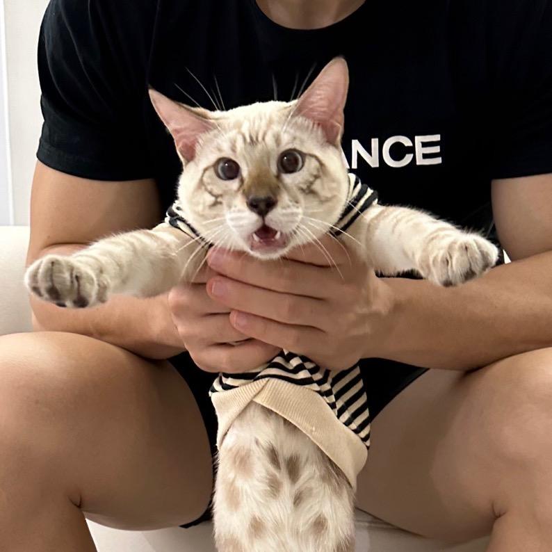 迪士尼在逃狗蛋