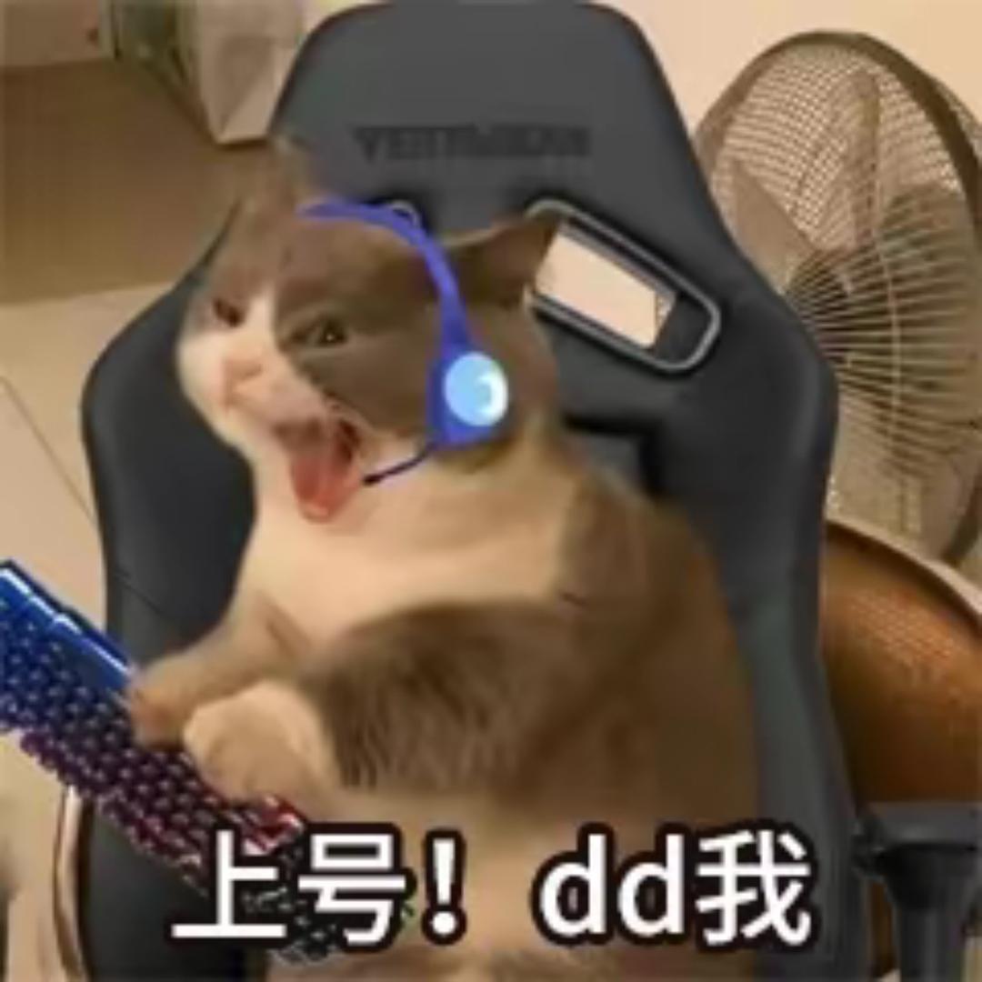 大博老师的游戏日常