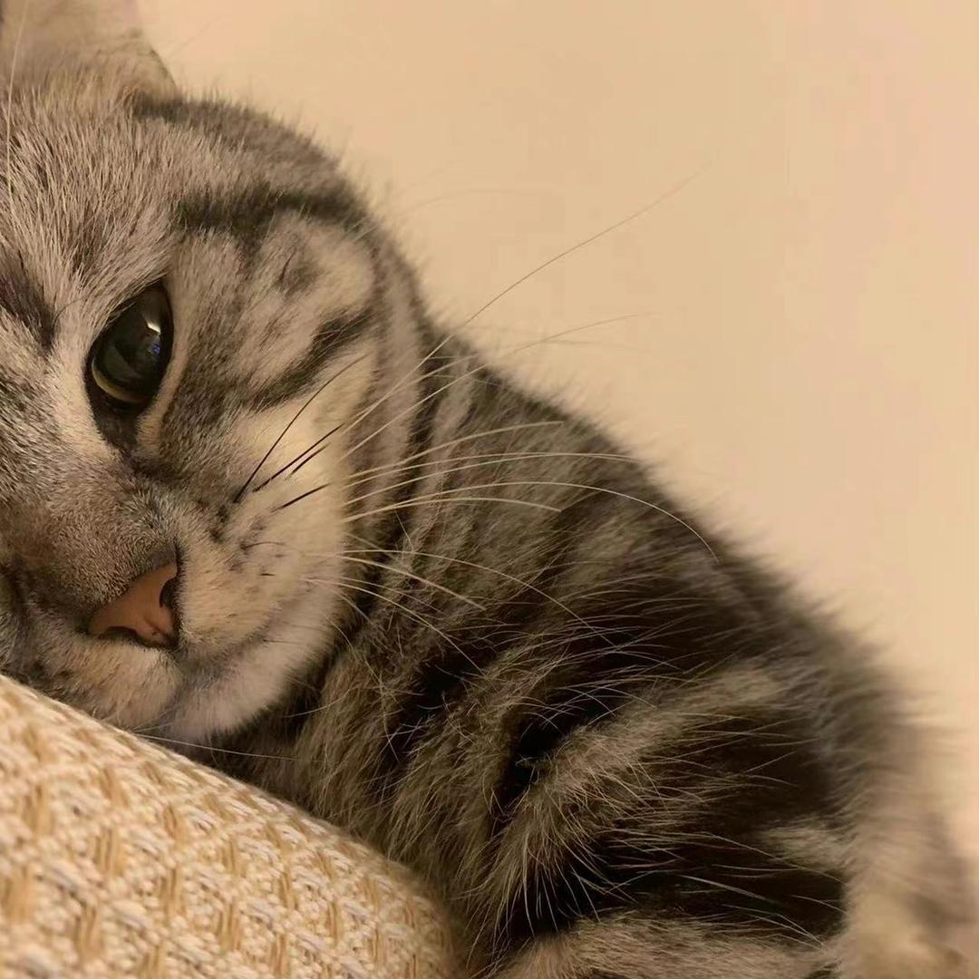 季尧