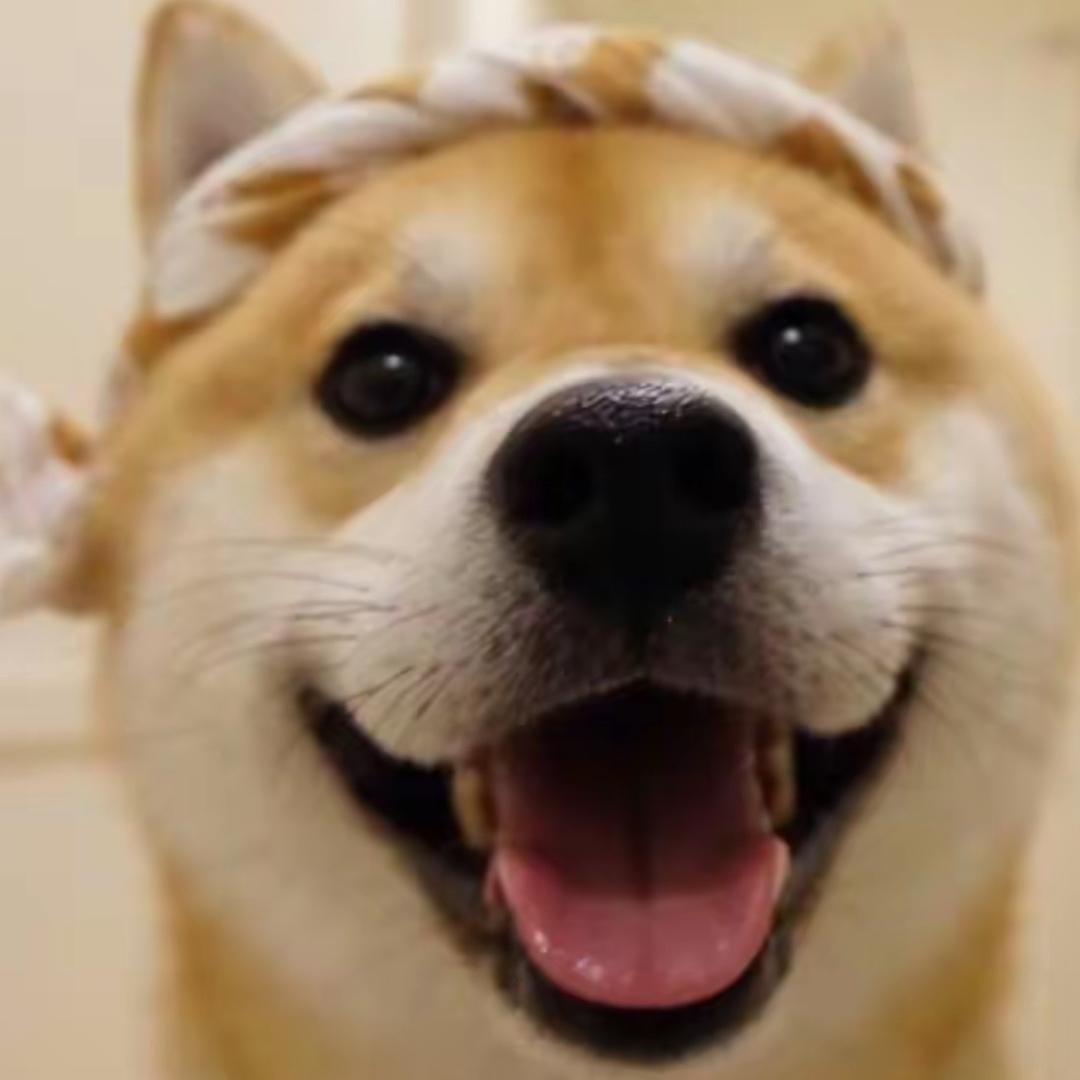 鼐散百货